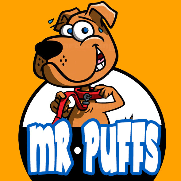 Professional LOGO DESIGN – Cartoon Mascot – UNLIMITED REVISIONS – Source File