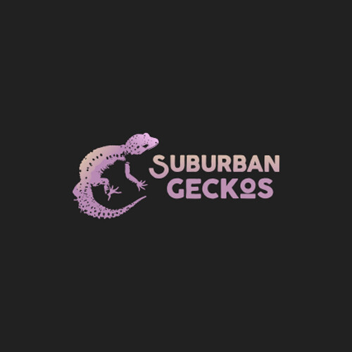PROFESSIONAL CUSTOM LOGO DESIGN FOR BUSINESS + UNLIMITED REVISION | GRAPHICS