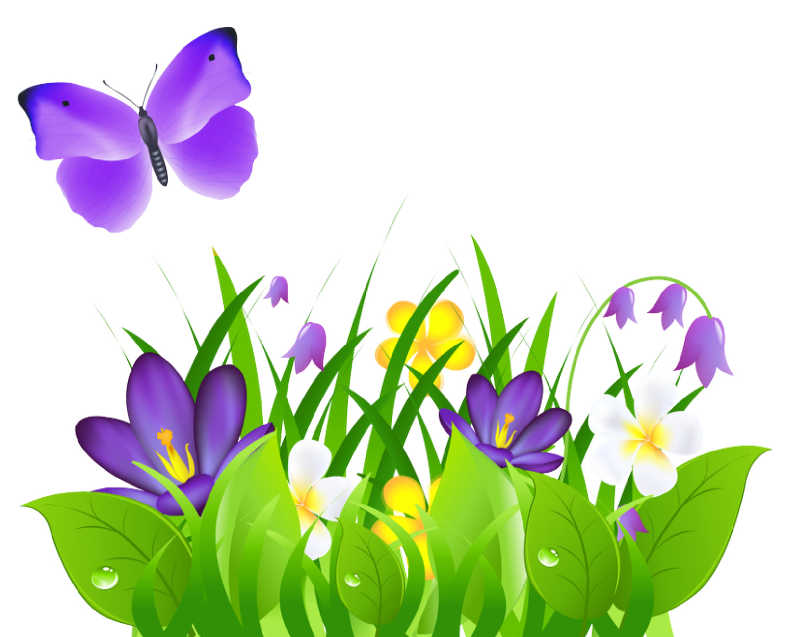 Need logo/image ? 10 full color 1 side business cards.
