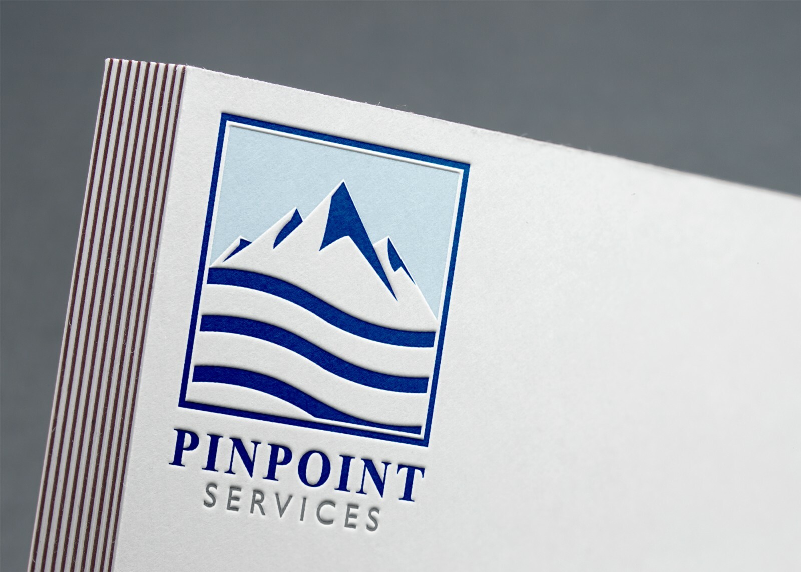 Professional CUSTOM Made LOGO DESIGN Vector Unlimited Revisions 100% Guaranteed!
