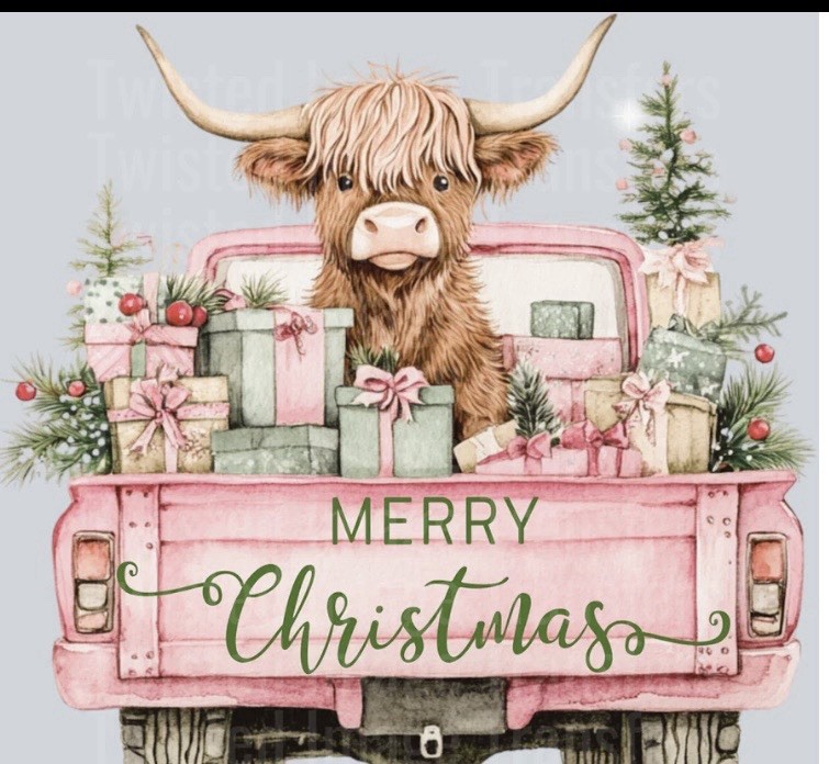 Order your Christmas t-shirts, unique and bright designs, soft and durable .
