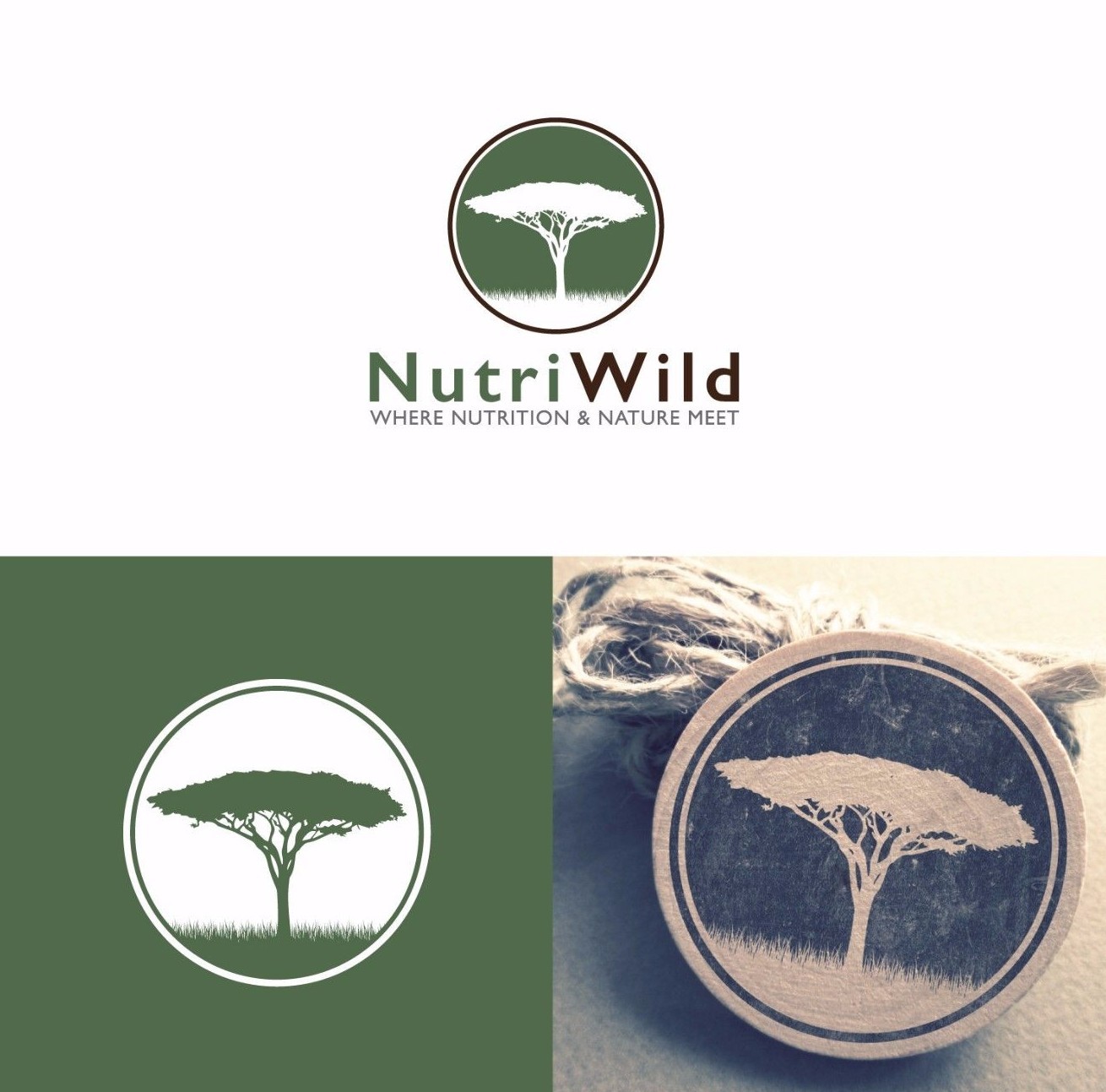 Custom Made Creative Logo Design Unlimited Revisions 100% Guaranteed