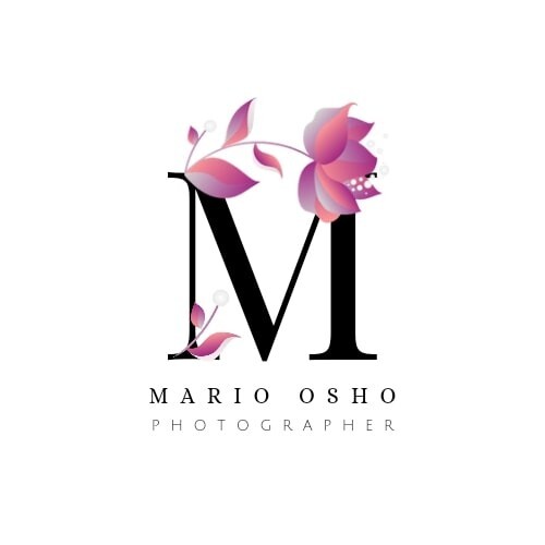 Professional Designer Graphic Business Creator USA Seller Revision Best Logo