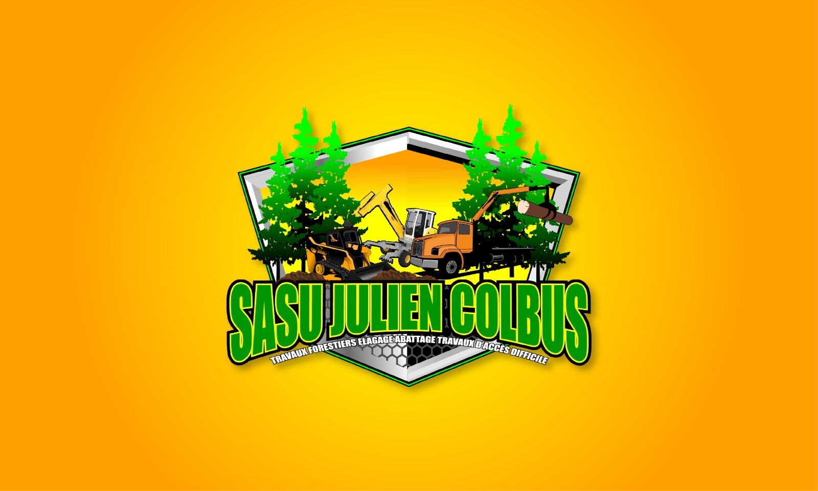CUSTOM MODERN LOGO FOR BUSINESS, Professional Business Logos, UNLIMITED REVISION
