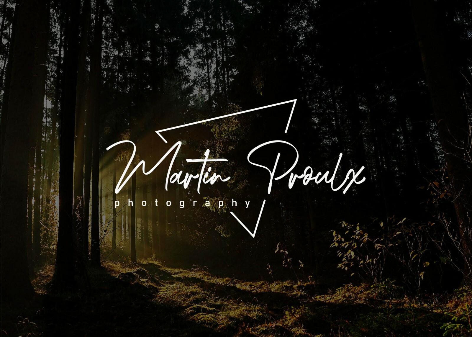 Professional Photography Signature Logo or Watermark Minimalist Logo Design Logo