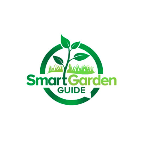 PROFESSIONAL CUSTOM LOGO DESIGN FOR BUSINESS + UNLIMITED REVISION | GRAPHICS