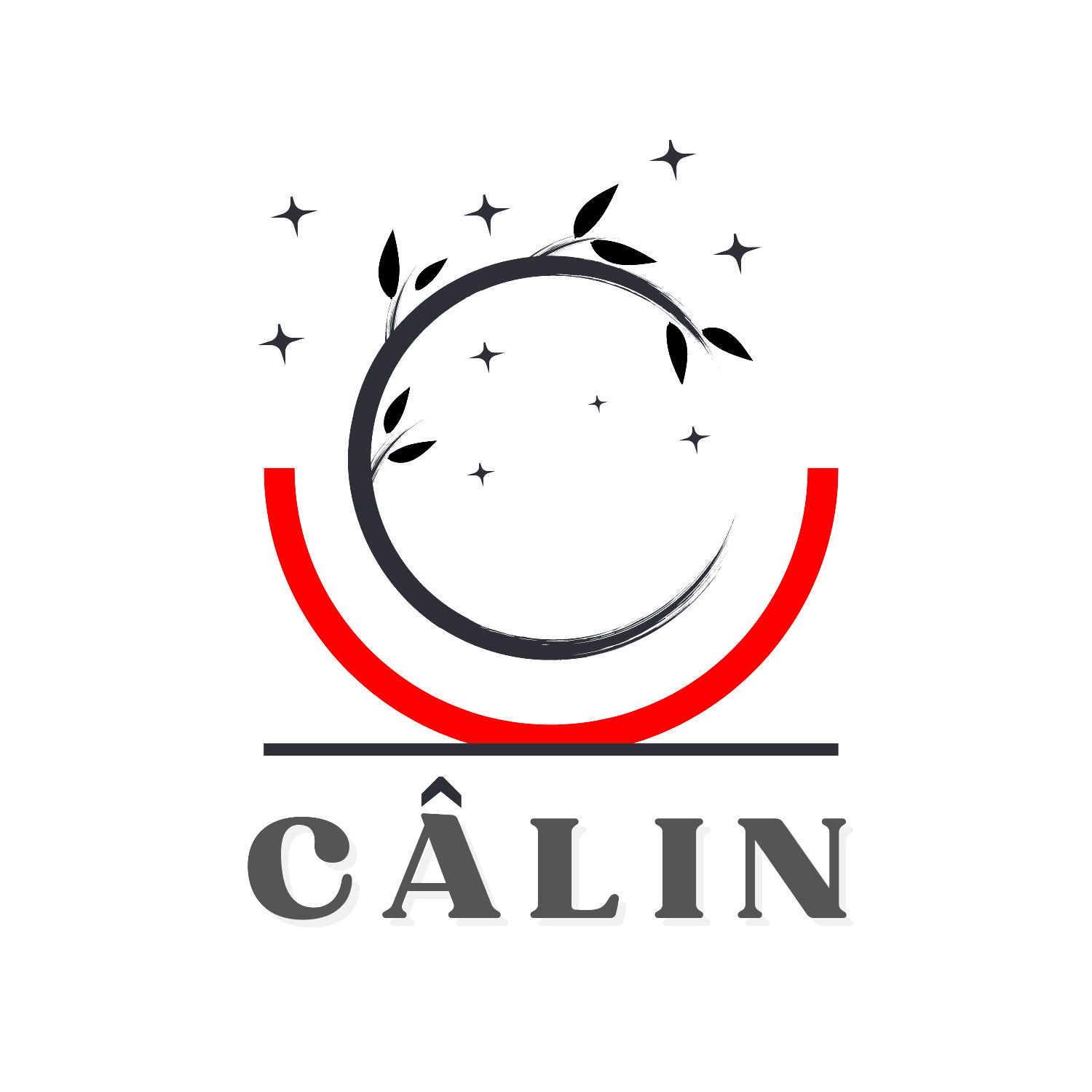 Logo Designer Graphic Designer