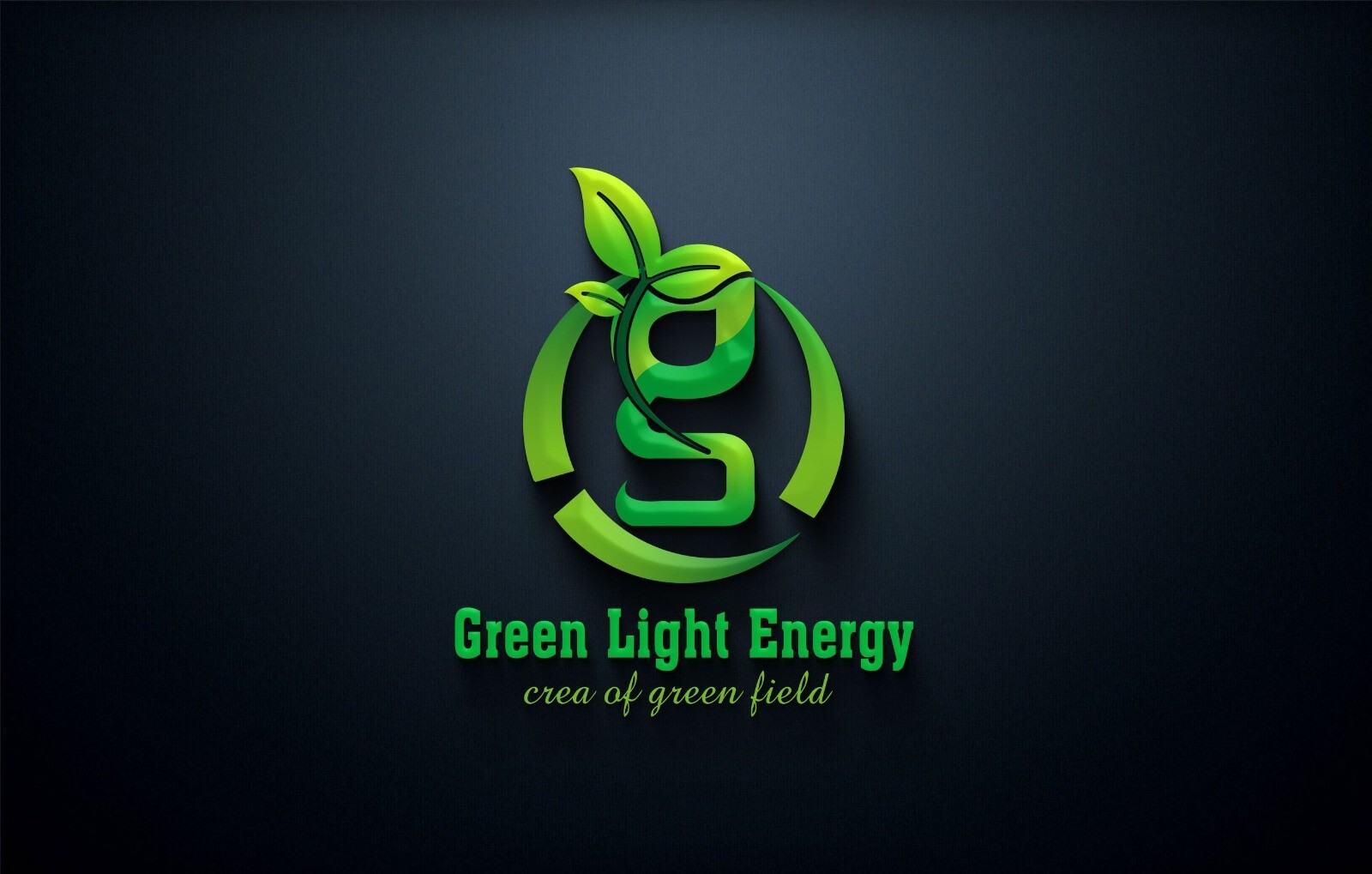 CUSTOM MODERN LOGO FOR BUSINESS, Professional Business Logos, UNLIMITED REVISION