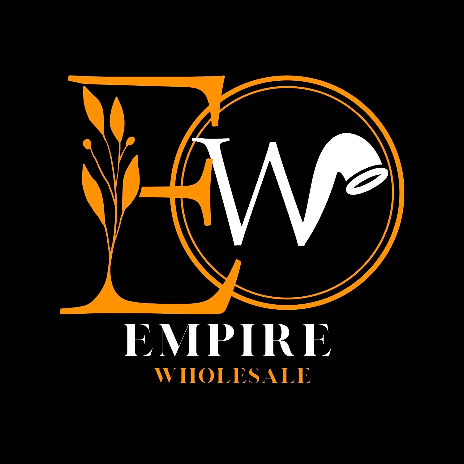 Logo Designer Graphic Designer