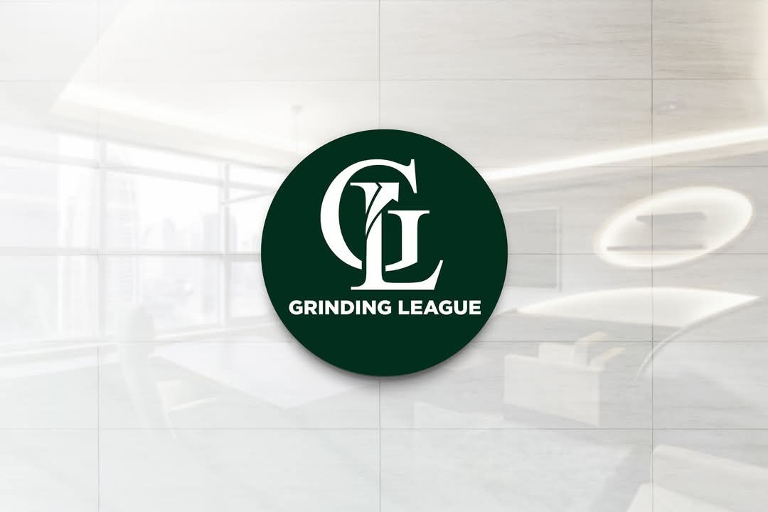 Professional Custom Logo Design With Unlimited Revision