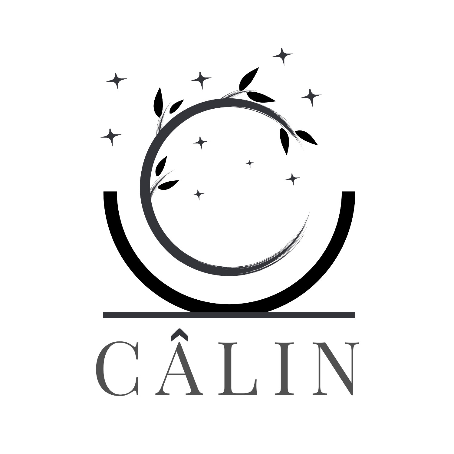 Logo Designer Graphic Designer