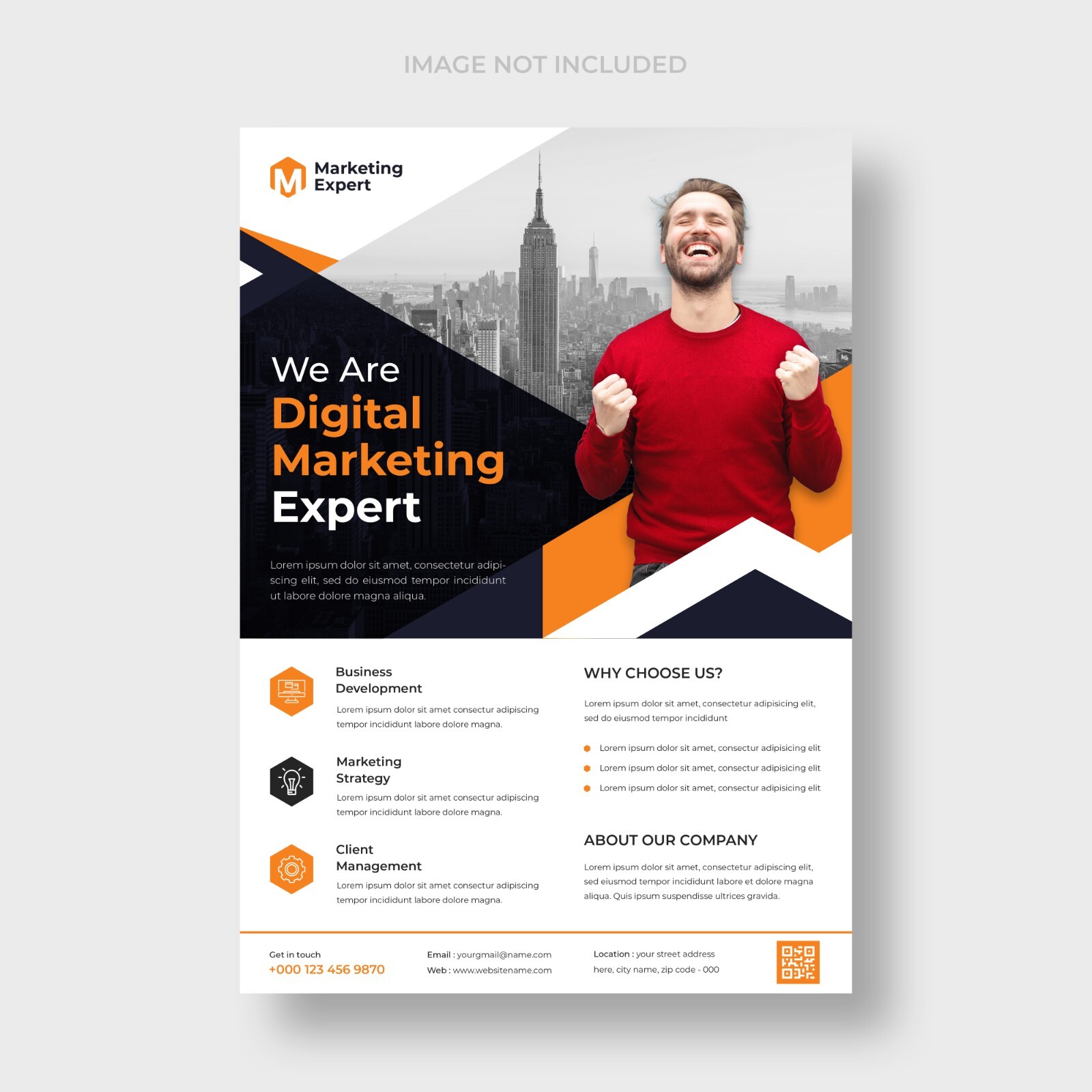 PROFESSIONAL CUSTOM LOGO FLYER POSTER DESIGN UNLIMITED REVISION – SOURCE FILE
