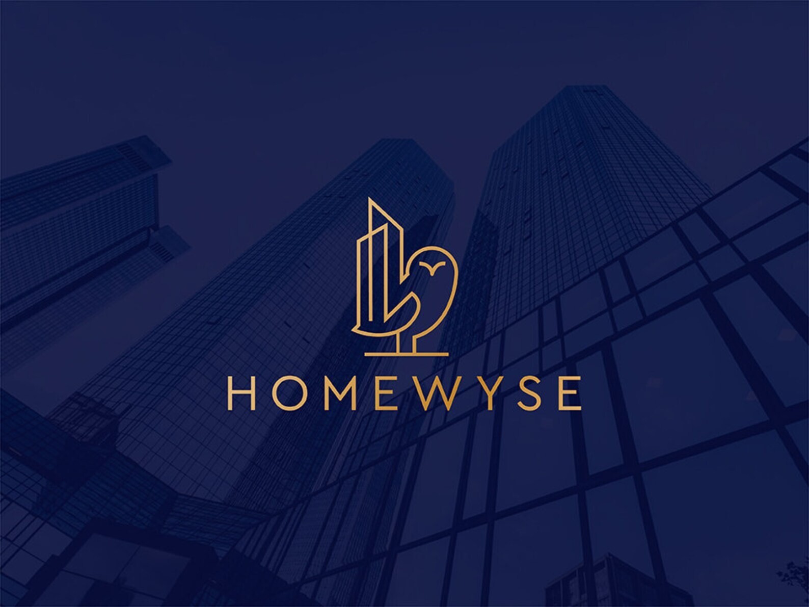 Custom Logo Designs + Logo Design + Free Unlimited Revisions + Free Source Files