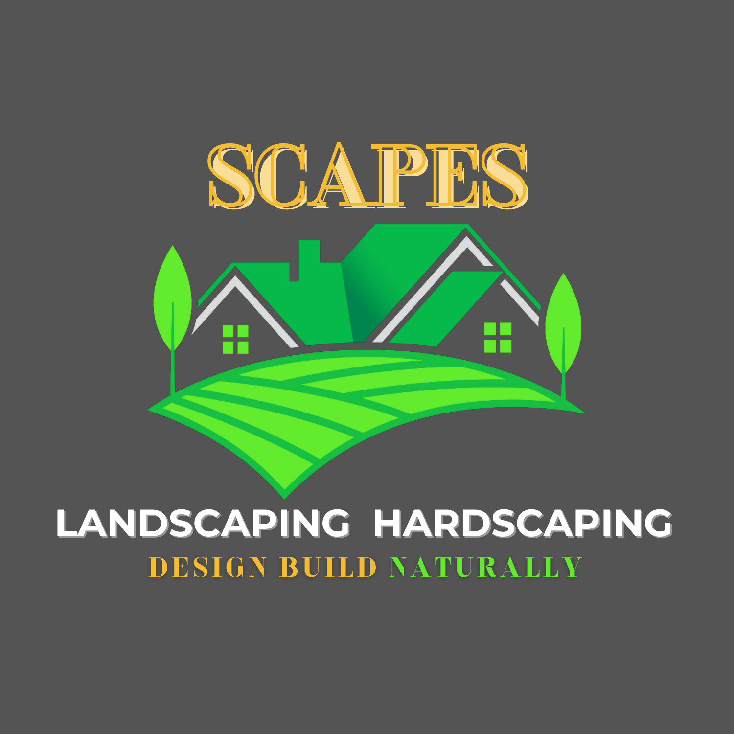 Professional Designer Graphic Business Best Logo Creator USA Seller Revision