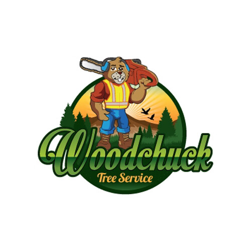 PROFESSIONAL CARTOON LOGO DESIGN – MASCOT LOGO- VECTOR FILES