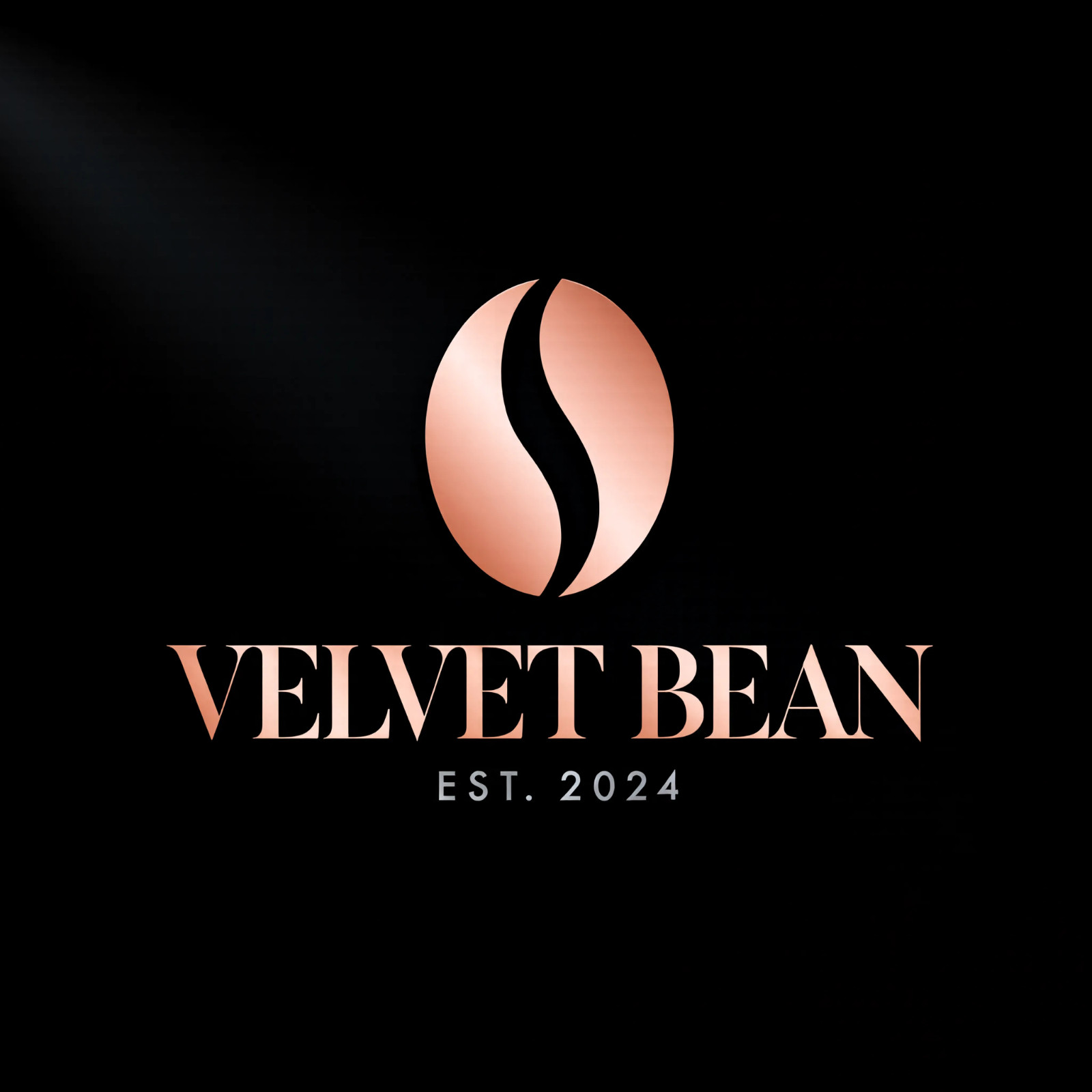Professional Custom Logo Design for Businesses, Brands, Social Media & Startups