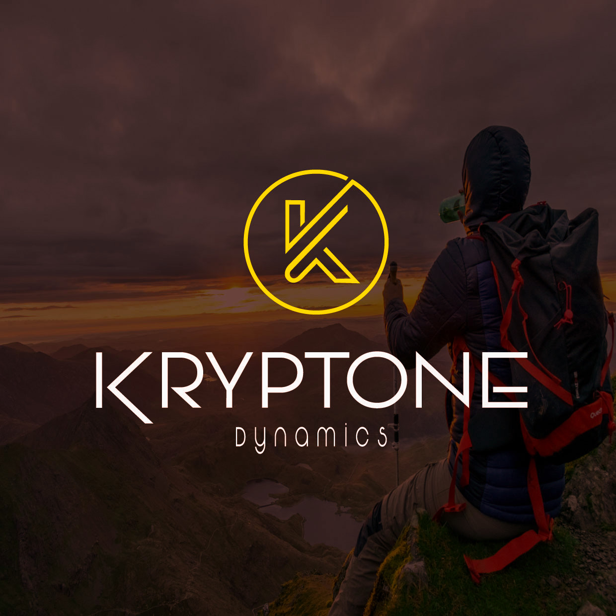 Professional Custom LOGO design,100% unlimited revision + free source file