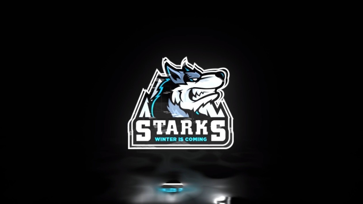 PROFESSIONAL 3D LOGO Animation or YouTube intro video + UNLIMITED REVISION